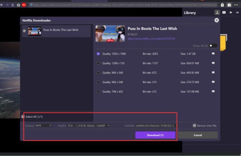 download netflix movies