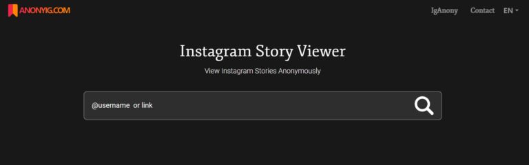 instagram-story-viewer-IgAnony instagram-story-viewer-IgAnony