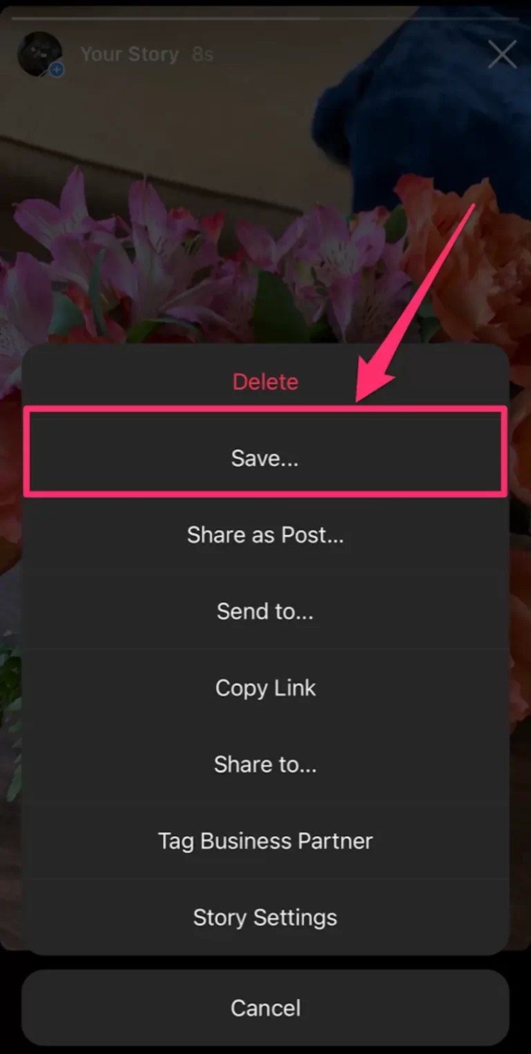 save-Instagram-videos-posted-to-story
