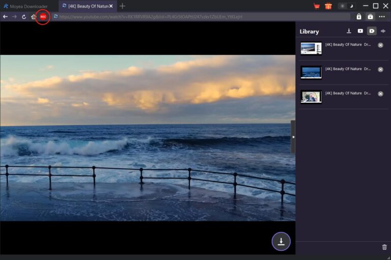 play-target-video-in-moyea-1
