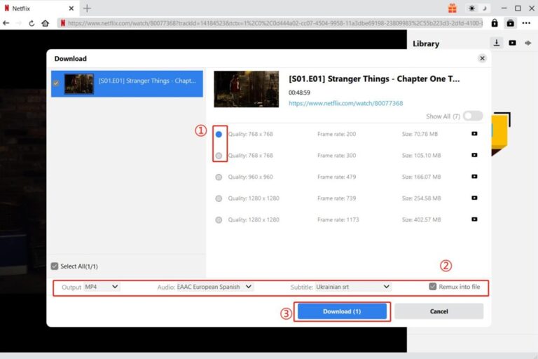 best netflix downloaders
