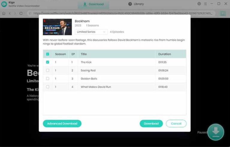 best netflix downloaders