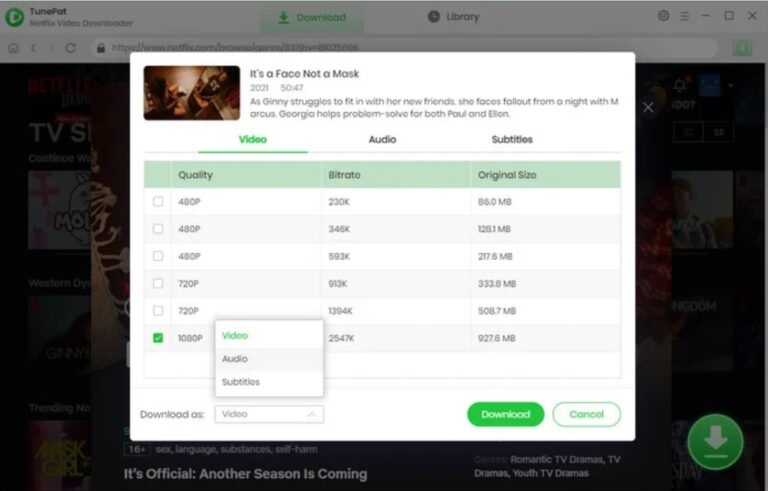 best netflix downloaders