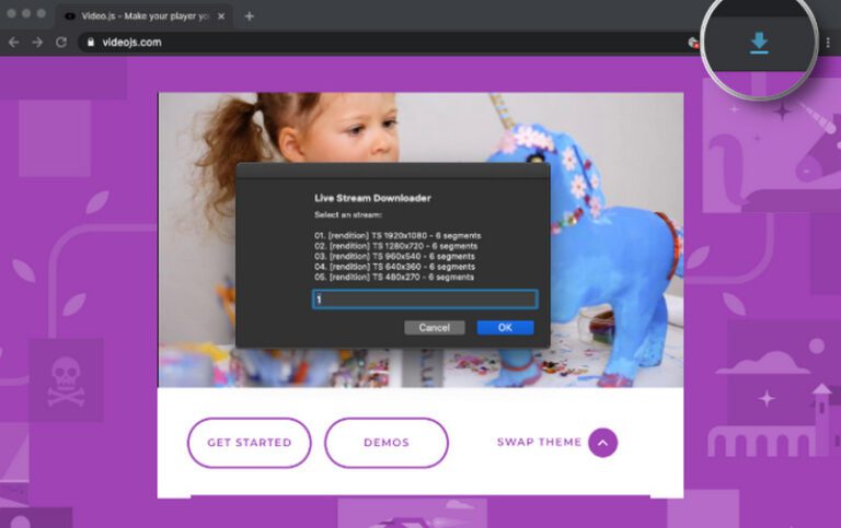 live-stream-downloader