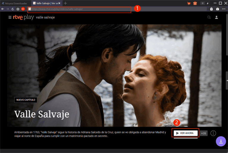 moyea-search-and-parse-videos
