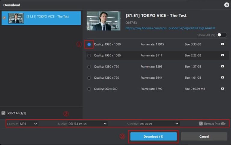 Check-out-download-settings-and-start-to-download