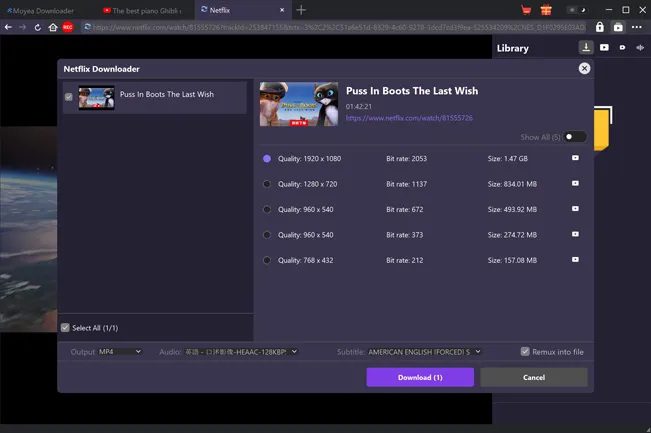 download netflix video