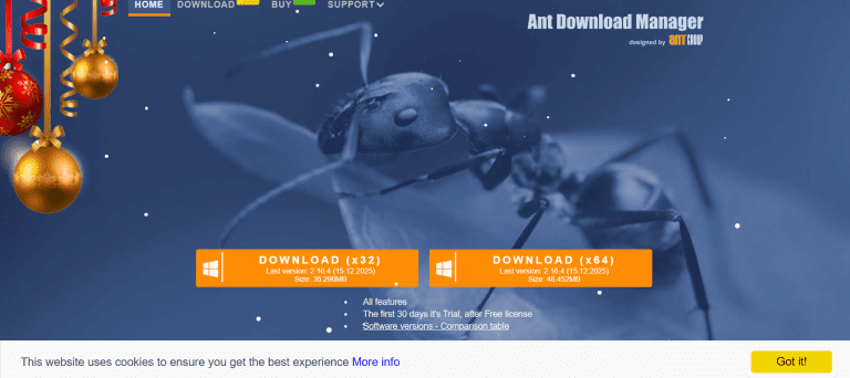 ant-download-manager