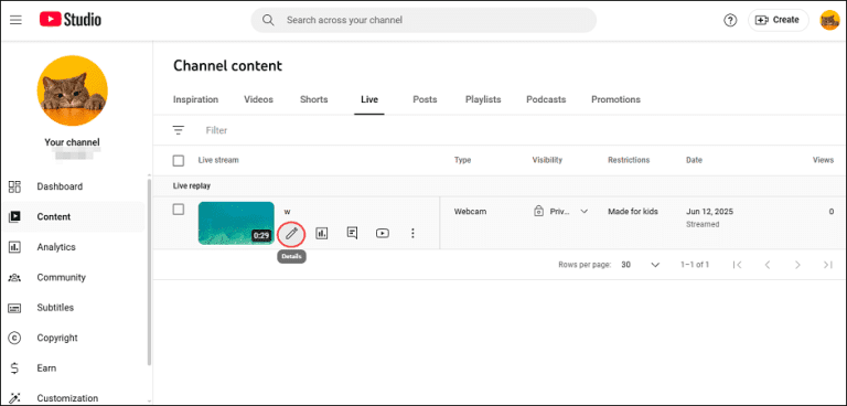 archive-youtube-live-stream archive-youtube-live-stream