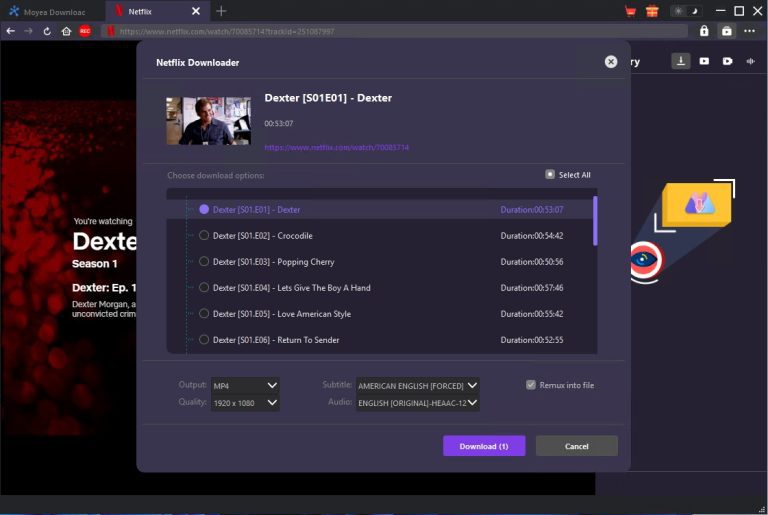 download Netflix episodes