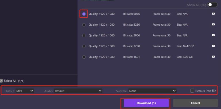 Moyea-Video-Downloader-3