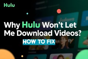Why Hulu Won’t Let Me Download Videos– Solve It Today