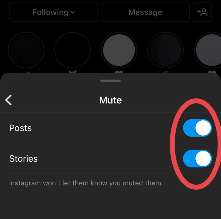 how-to-mute-someone-on-instagram-from-Their-Profile