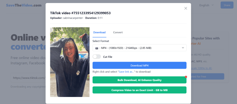 savethevideo processing and downloading video