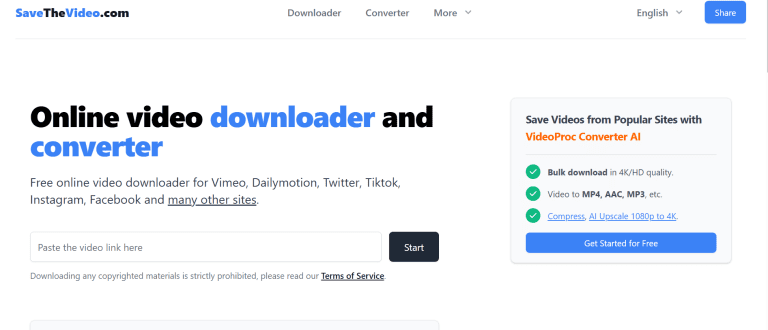 savethevideo-interface