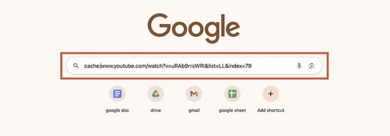 youtube-deleted-videos-cache