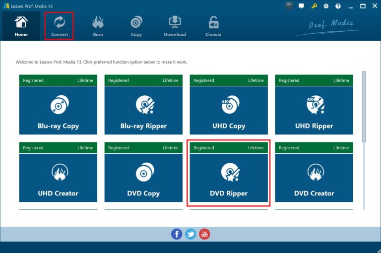 add dvd source into leawo dvd ripper