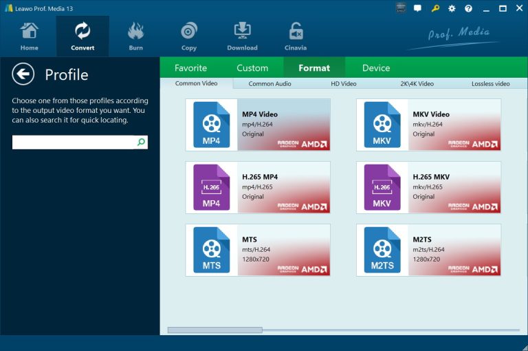 choose output format in leawo dvd ripper